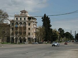Kostava Street, Rustavi (Photo A. Muhranoff, 2011)
