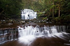 Liffey Falls, Liffey, Tasmania.jpg