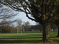 Llandaff Fields rugby