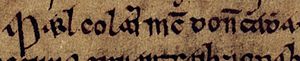 Máel Coluim mac Donnchada (Oxford Bodleian Library MS Rawlinson B 488, folio 19v)