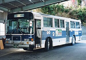 M531-86251-P-LV318N