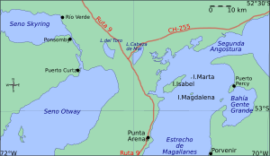 Magdalena-island-Chile