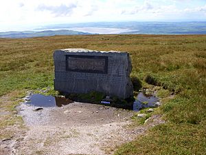 Memorial on the Summit of Cairnsmore of Fleet - geograph.org.uk - 526367