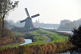 Mill Twiske at Oostzaan in the morningsun at 21 November 2014 - panoramio