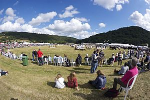 Monmouthshire County Show 2011