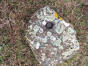 Nuraghe Surbiu 2 resti del nuraghe. pietra con coppella