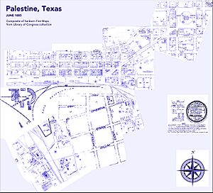 Paltex