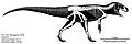 Piatnitzkysaurus floresi skeletal reconstruction
