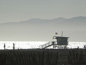 Plaża w Santa Monica 3