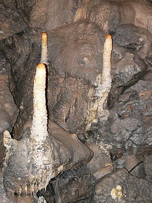 Poole's cavern stalagmites