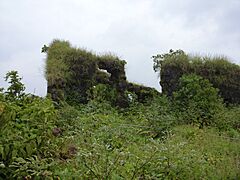 Purandar Fort 10