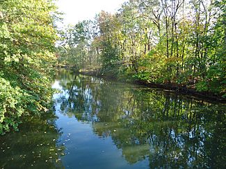 Rahway River in Union County NJ in autumn 1