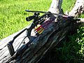 Recurve crossbow with bolts