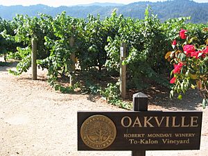 To-Kalon Vineyard, Robert Mondavi Winery, Oakville, California