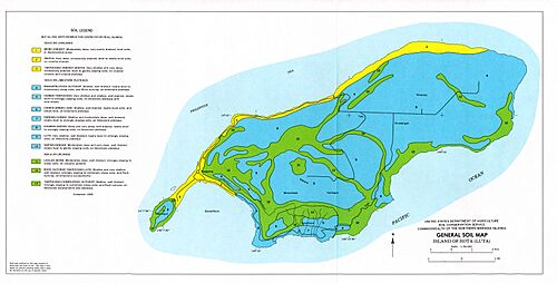 Rota soil map, 1988