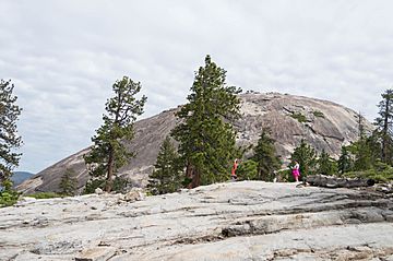 Sentinel Dome, Yosemite NP.jpg