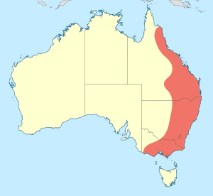 Map showing distribution of Synlestes in eastern Australia