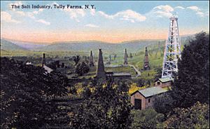 Syracuse 1900 salt-tully