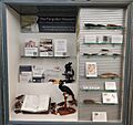 The Forgotten Museum Display about the Selangor Museum collection at World Museum Liverpool