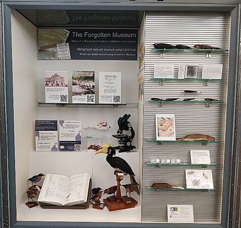 The Forgotten Museum Display about the Selangor Museum collection at World Museum Liverpool