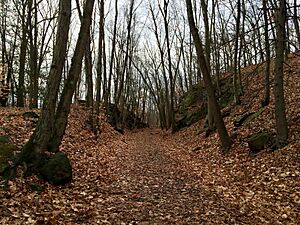 The Larkin Trail in Whittemore Glen State Park in Naugatuck Connecticut