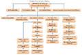The President Power Structure in Vietnam
