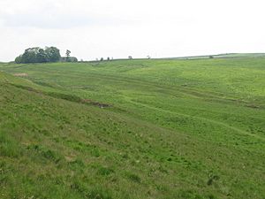 The Vallum east of Milecastle 42 - geograph.org.uk - 846873