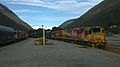 Two Trains at Arthur's Pass