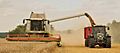 Unload wheat by the combine Claas Lexion 584