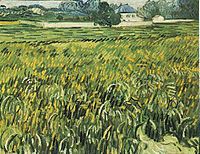 Van Gogh Wheat Field at Auvers with House