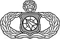 WepsDirector
