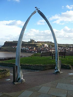 Whitby - Whalebone Arch and View - geograph.org.uk - 679544
