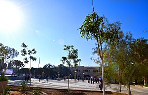 الجامعة الهاشمية 1-1