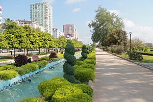 Adana, Reşatbey Mh., Seyhan-Adana, Turkey - panoramio (39)
