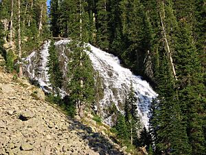 Albright Falls in Yellowstone Park