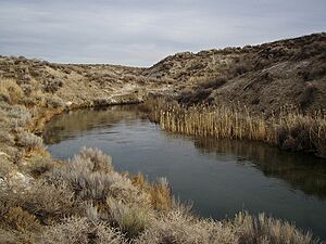 Ana River habitat, Summer Lake, Oregon