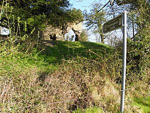 Ballymagauran Castle