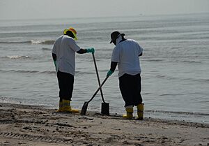 Beach Clean up during DWH (8743617563)