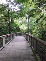 Boardwalk at BREC's Bluebonnet Swamp Nature Center