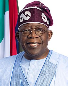 Official portrait of Bola Tinubu as president of Nigeria