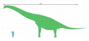 Brachiosaurus scale 1