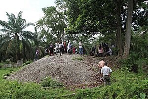 Bukit Kerang in Aceh Tamiang, Aceh