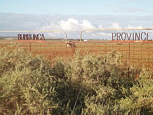 Bumbunga province gates