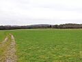 Calverton Site of Roman Camp