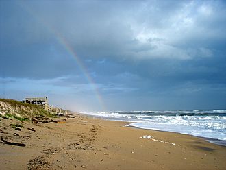 CanaveralNationalSeashore2