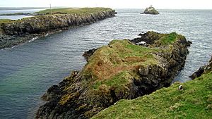 Carntullagh Head and Rotten Island - geograph.org.uk - 1217158