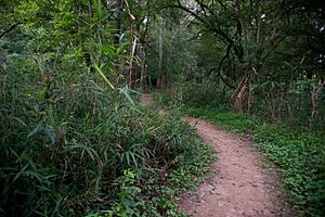 Chattahoochee Bend State Park