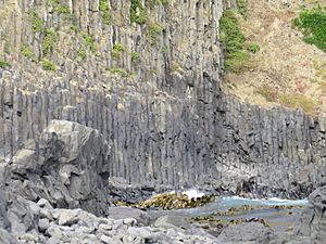 Columnar basalt, Blackhead, New Zealand