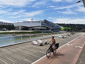 Confluence museum from Raymond Barre bridge