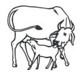 Cow and Calf INC